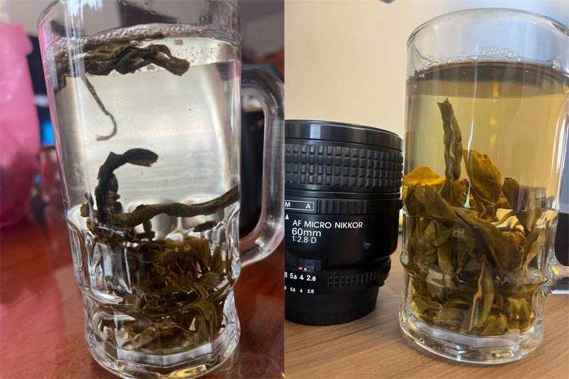 Loose leaf tea and tea bags compared by SteepedRoots