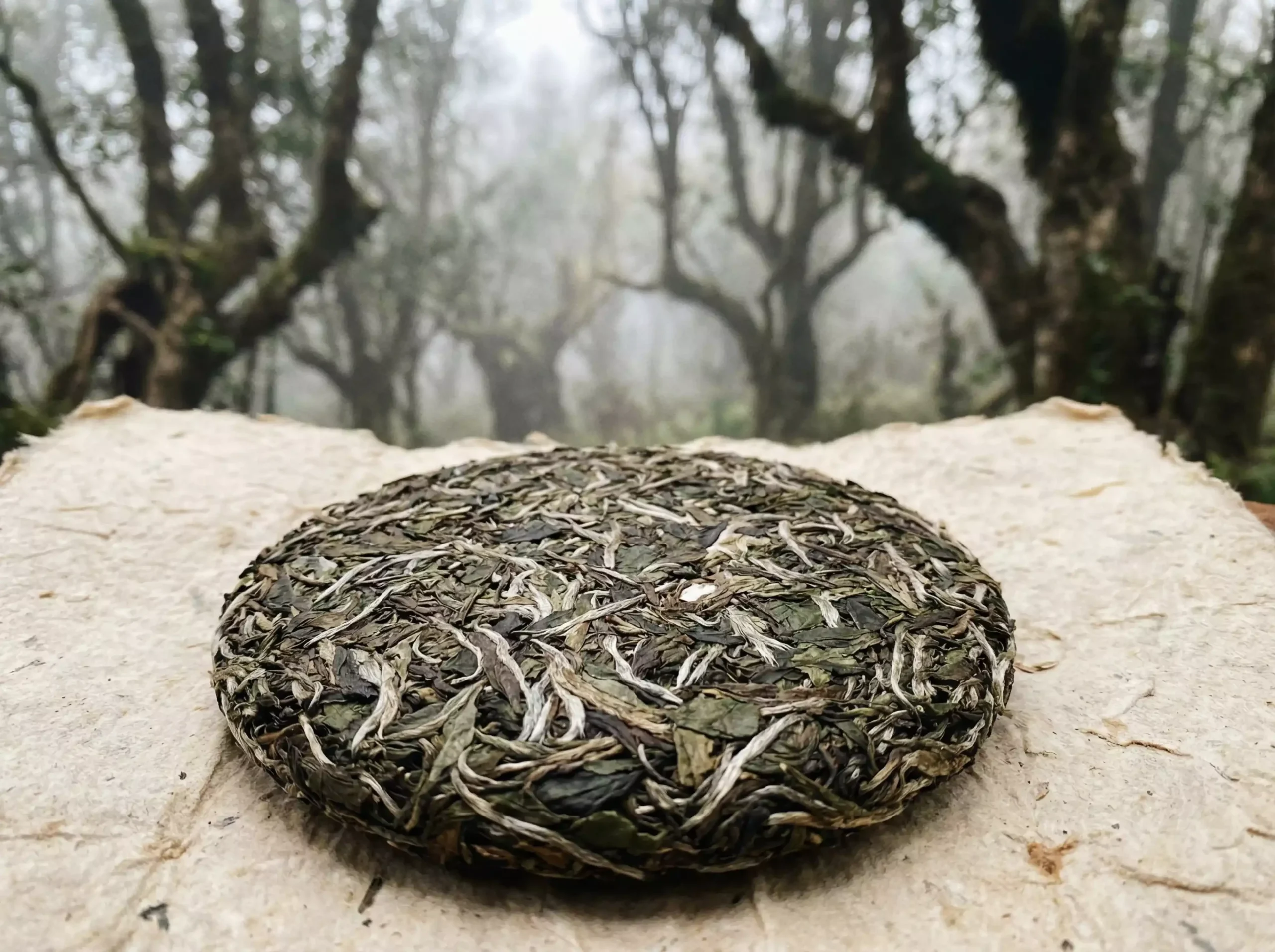 Traditional Raw Pu-erh tea cake from Yunnan ancient tea forest.