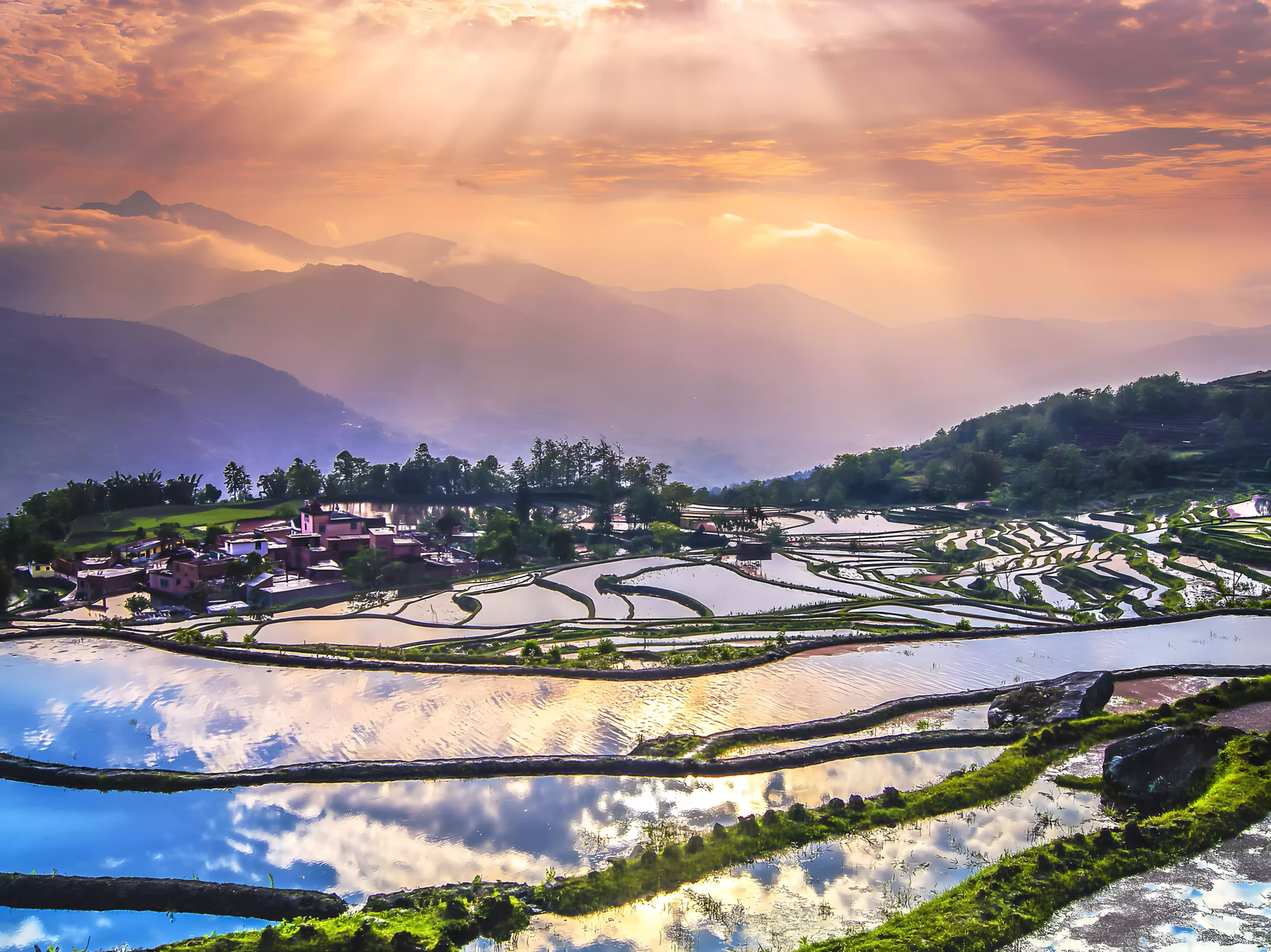 哈尼族梯田景观与勐海高山茶园