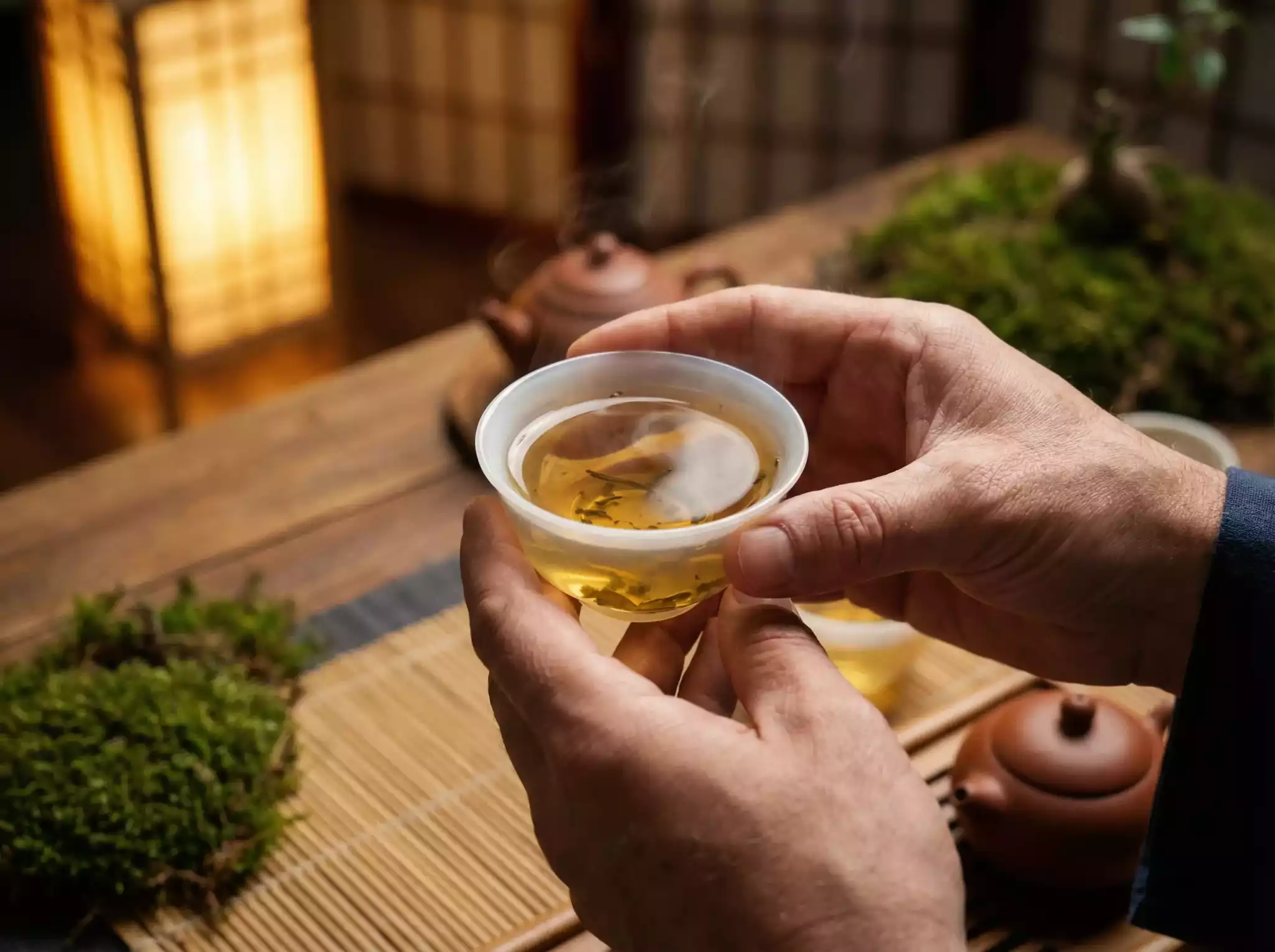 A person holding a small tea cup mindfully, experiencing the onset of tea drunkenness