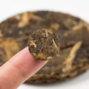 Close-up of a tiny 2g compressed tea disc on a fingertip, showing tea leaf texture and miniature scale.