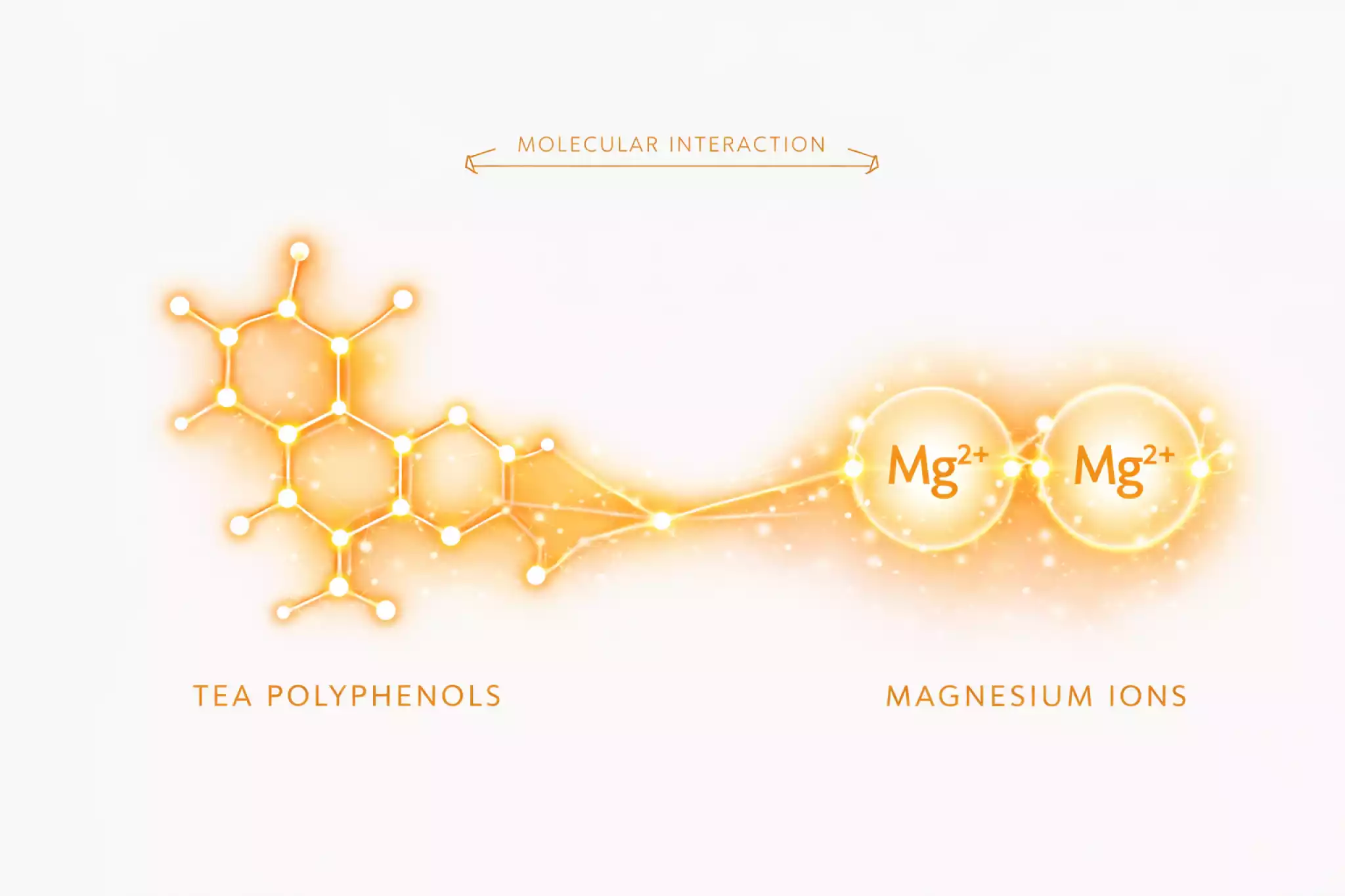 Illustration of molecular interaction between tea polyphenols and magnesium ions for sweetness enhancement.