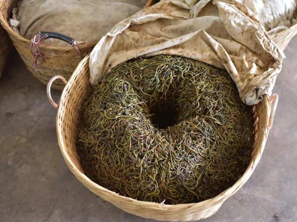 Tea leaves spread thinly on the workshop floor for the withering process