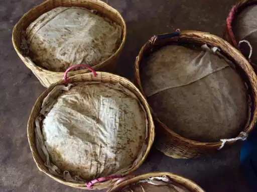 Tea leaves changing color from green to yellow and reddish brown during fermentation
