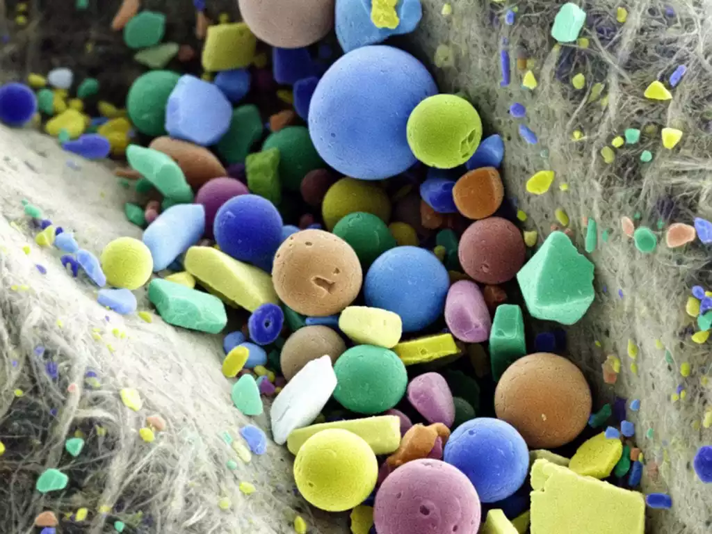 SEM microscope view of colorful microplastic particles released from plastic tea bags